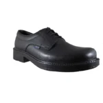 کفش پرسنلی مردانه فرزین مدل لرد (lord)