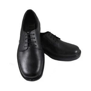 کفش پرسنلی مردانه فرزین مدل لرد (lord)